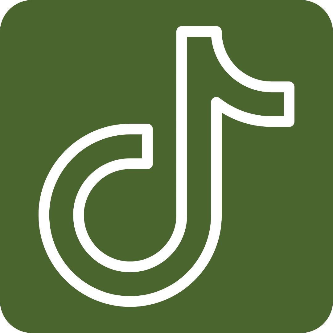 Tiktok icon